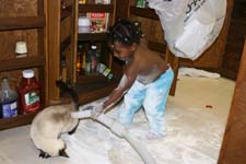 vacuuming the cat