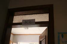 IMG_0556