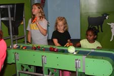 IMG_1918