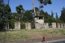 IMG_0615